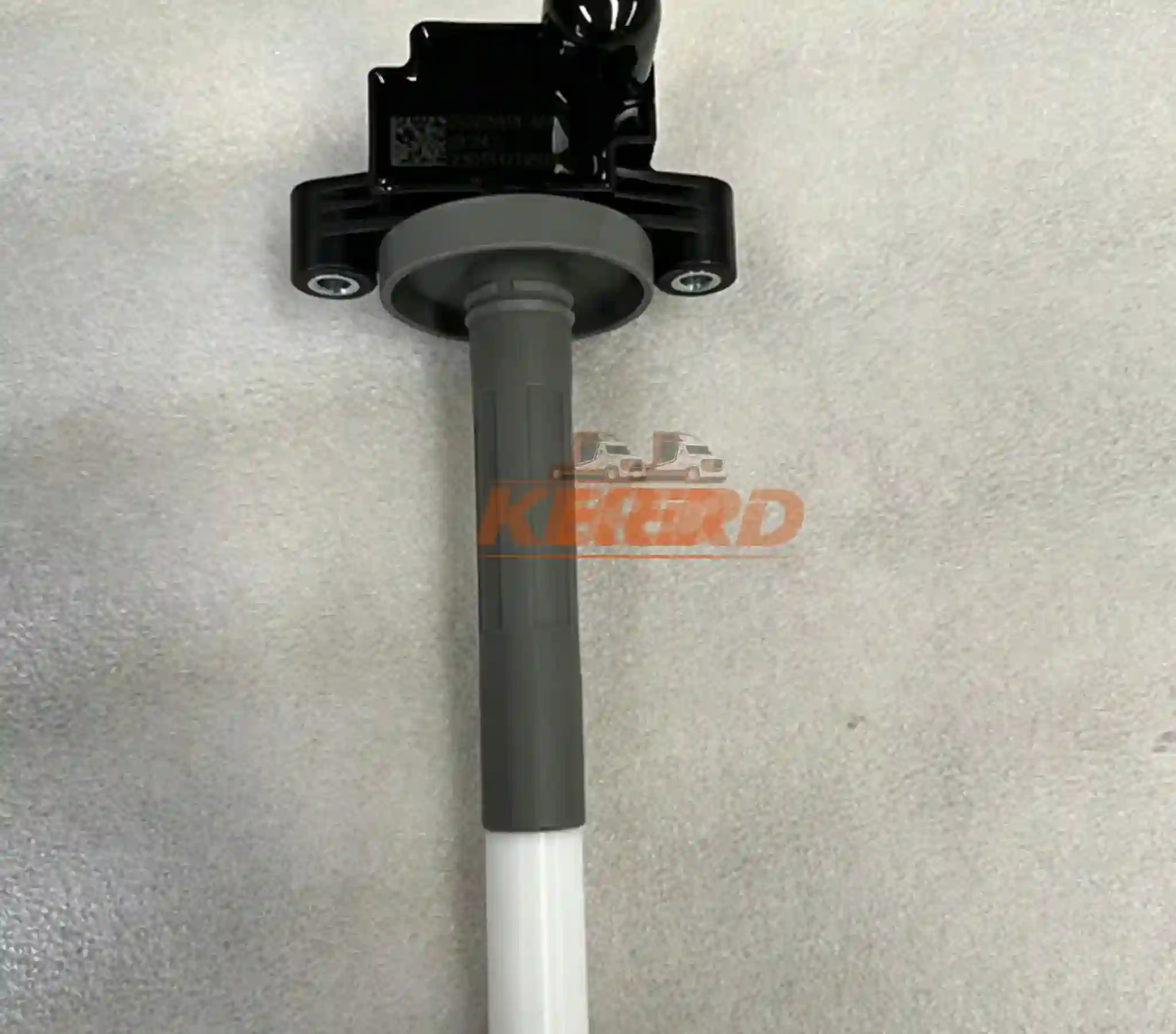 Foton Truck Parts- 202V25919-6007 Ignition Coil Assembly